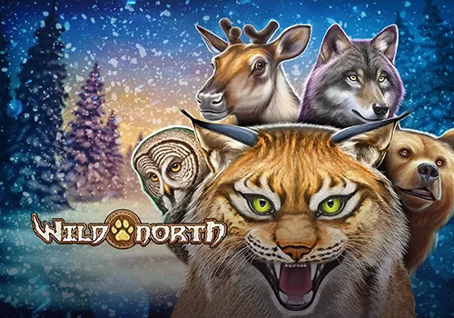 Wild North 무료 슬롯 게임