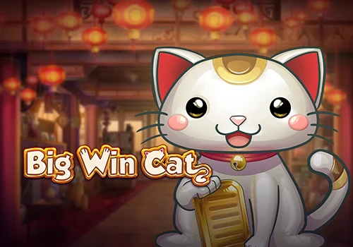 Big Win Cat 무료 슬롯 게임