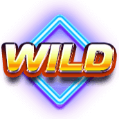 Disco Wild