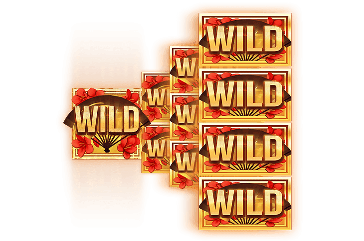 Wilds & Sliced Wilds