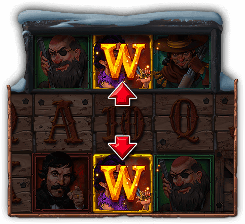 Wild Transform