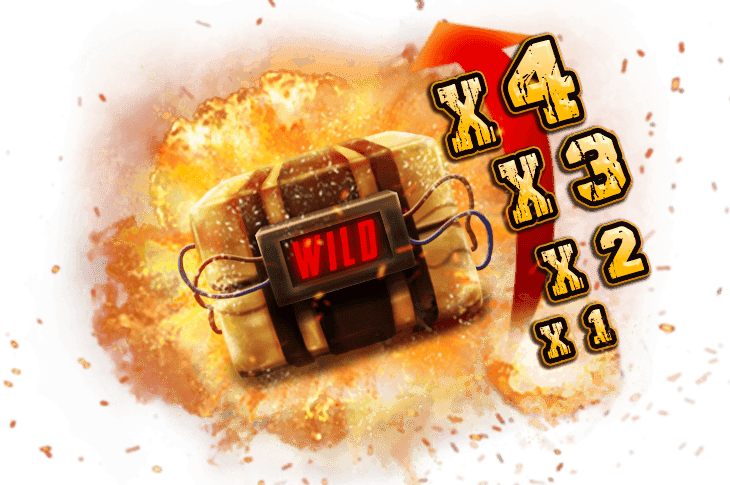 xBomb® Wild