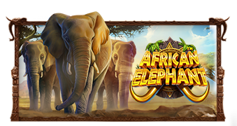 African Elephant™ 무료 슬롯 게임