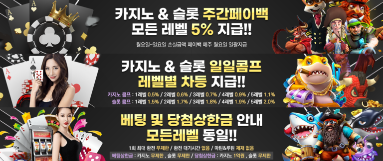 체스카지노 가입코드·이벤트·쿠폰·도메인·주소 안내