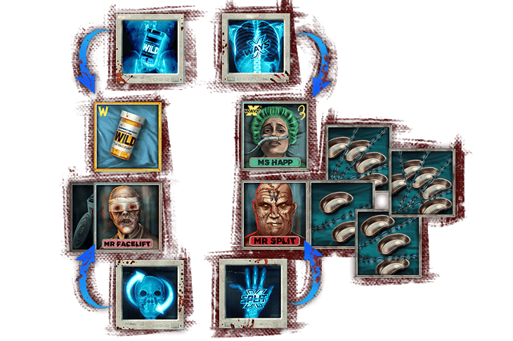 Enhancer Cells
