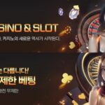 벳박스카지노