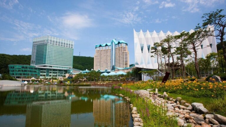 “폐광 지역 경제 vs 도박 중독” 강원랜드 규제 빗장 해제를 둘러싼 뜨거운 찬반 양론