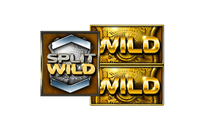 Split Wild
