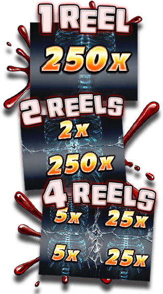 Reel Area