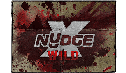 1 xNudge® Wild (Nolimit Booster)