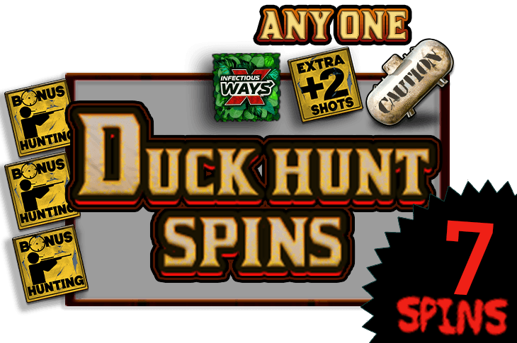 Duck Hunt Spins
