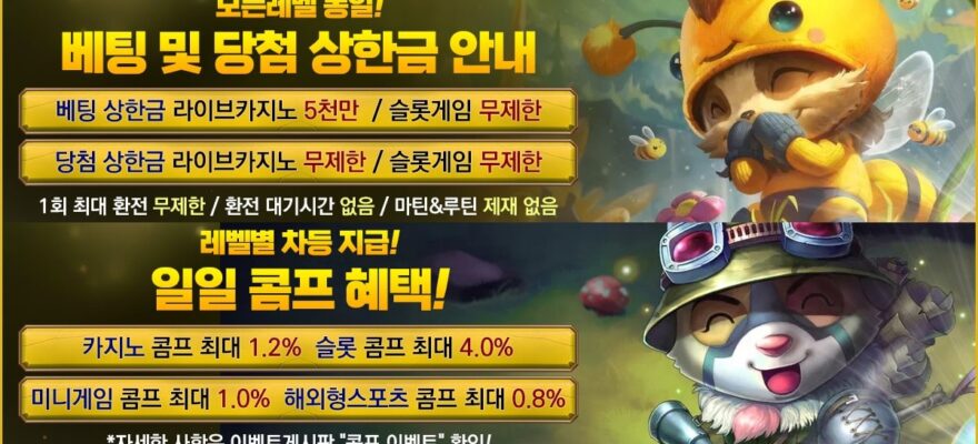 티모카지노