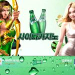 사이다카지노