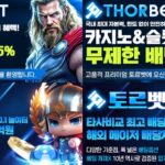 토르 토토
