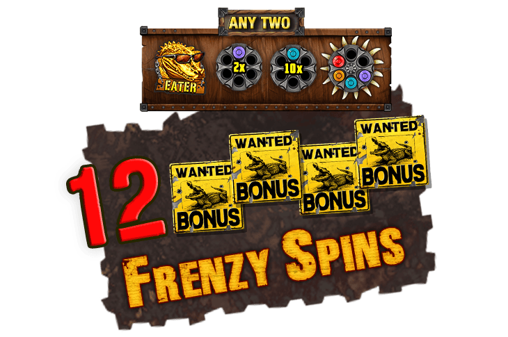 Frenzy Spins