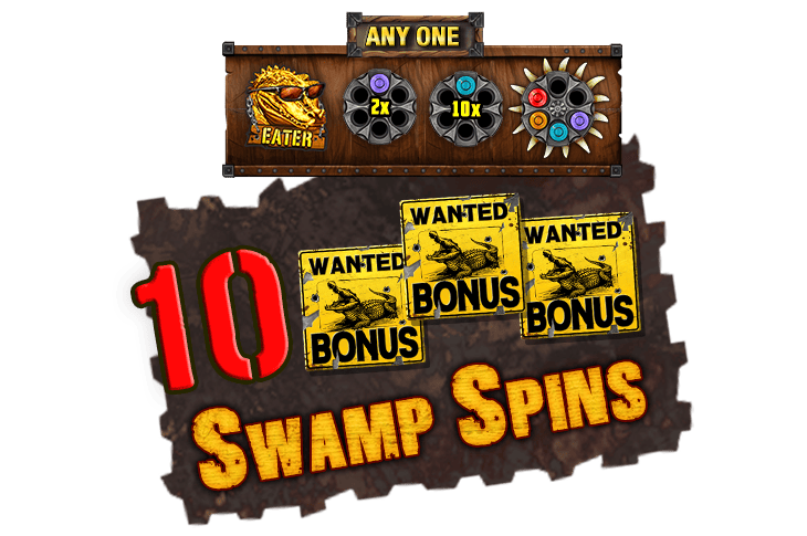 Swamp Spins