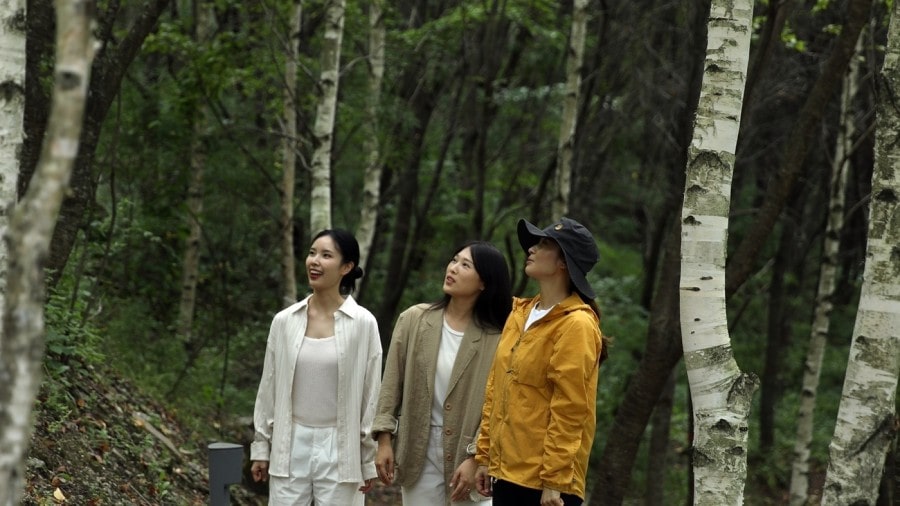 역(逆)성장 중인 숙박 사업은 웰니스 확대로 반전 도모