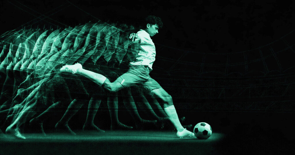 먹튀검증 관련 제보 방법과 법적·제도적 지원