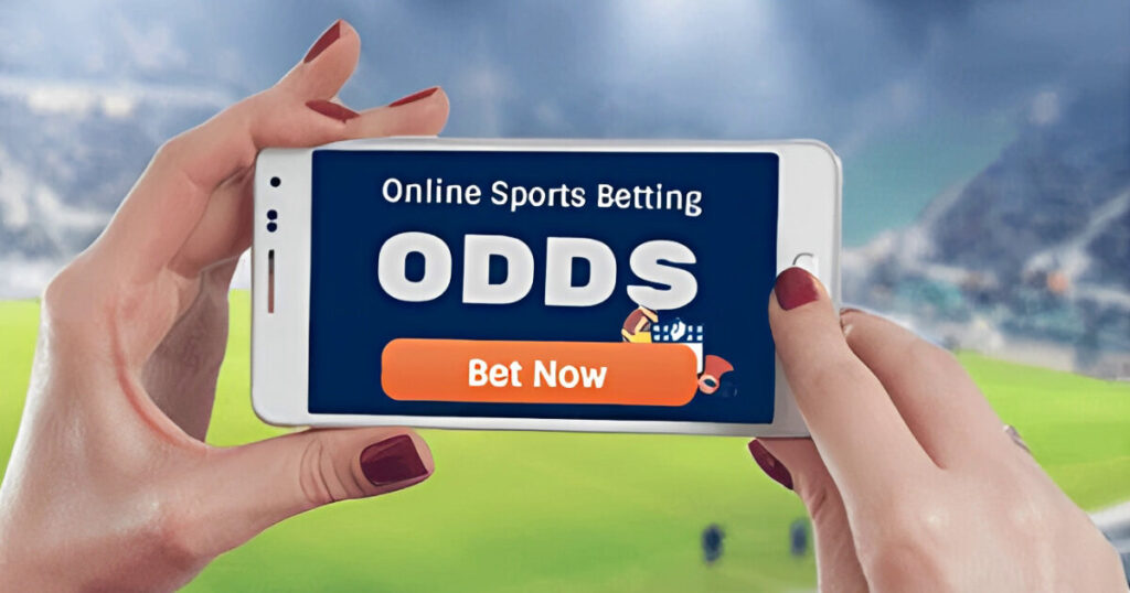 고배당 이면의 리스크와 제재 규정 확인