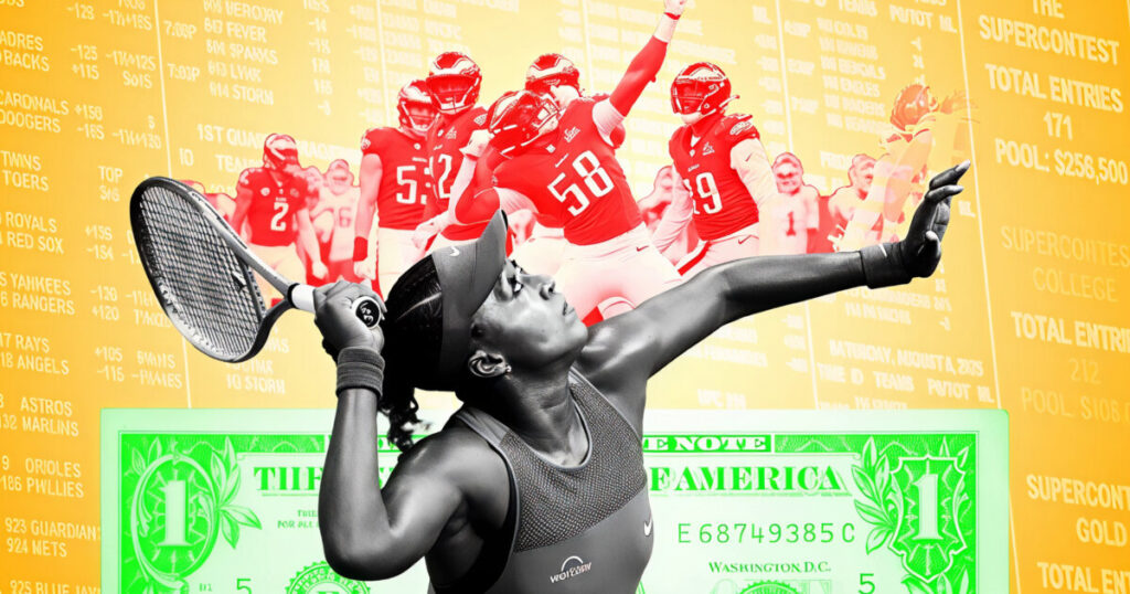 검색 엔진 DB를 활용한 먹튀 이력 추적 가이드