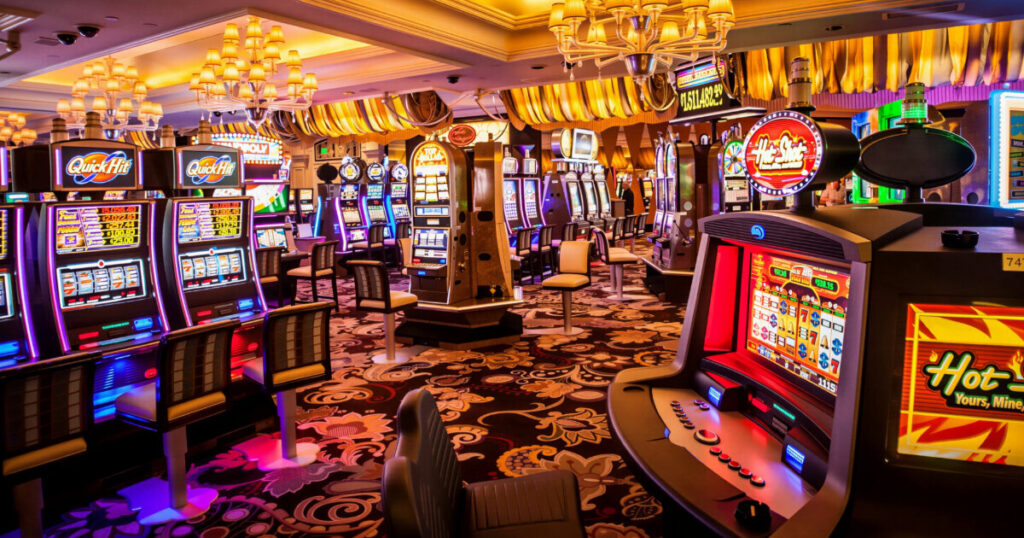 오해와 진실: 팩트 체크 (Fact Check)