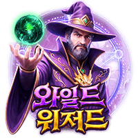 와일드 위저드 무료 슬롯 게임