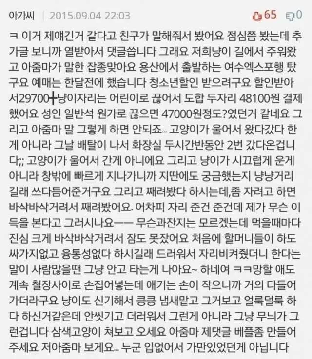 KTX 입석 고양이 자리 논란 원글 .jpg