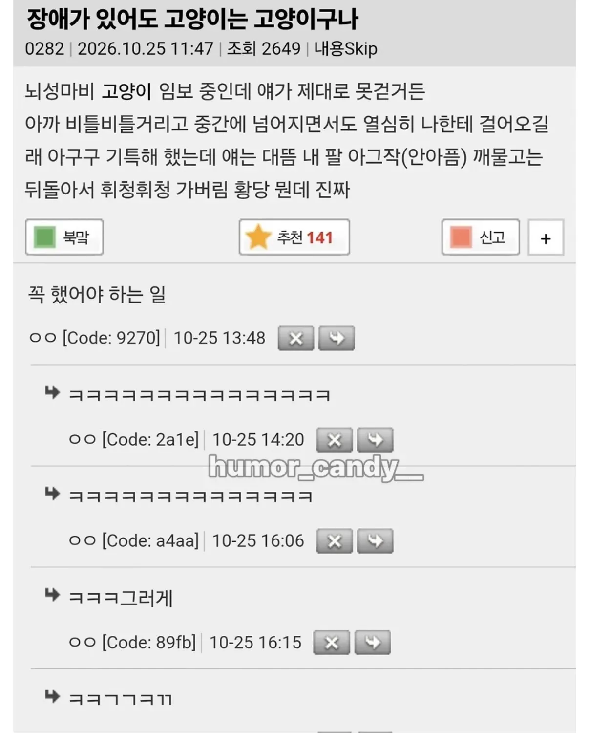 다리가 불편해도 고양이는 역시 고양이