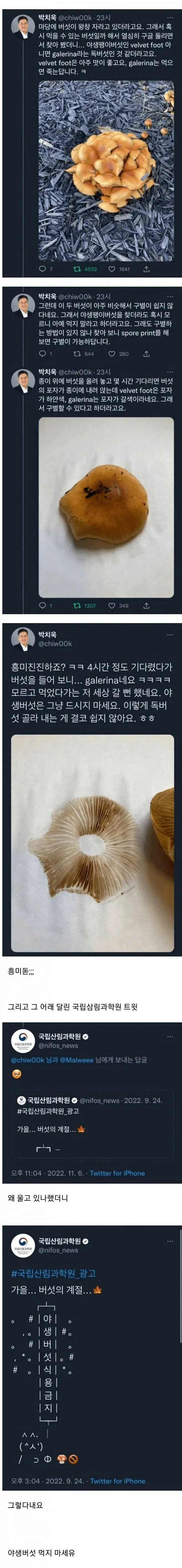 교수님들이 독버섯 구별하는 쉬운 방법.jpg