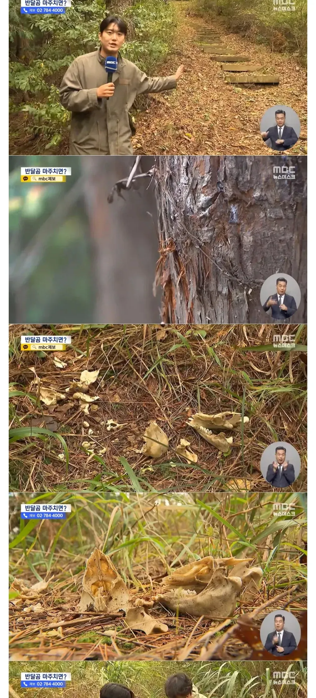 지리산 등산로에 반달곰 불쑥 94마리 ㄷㄷ