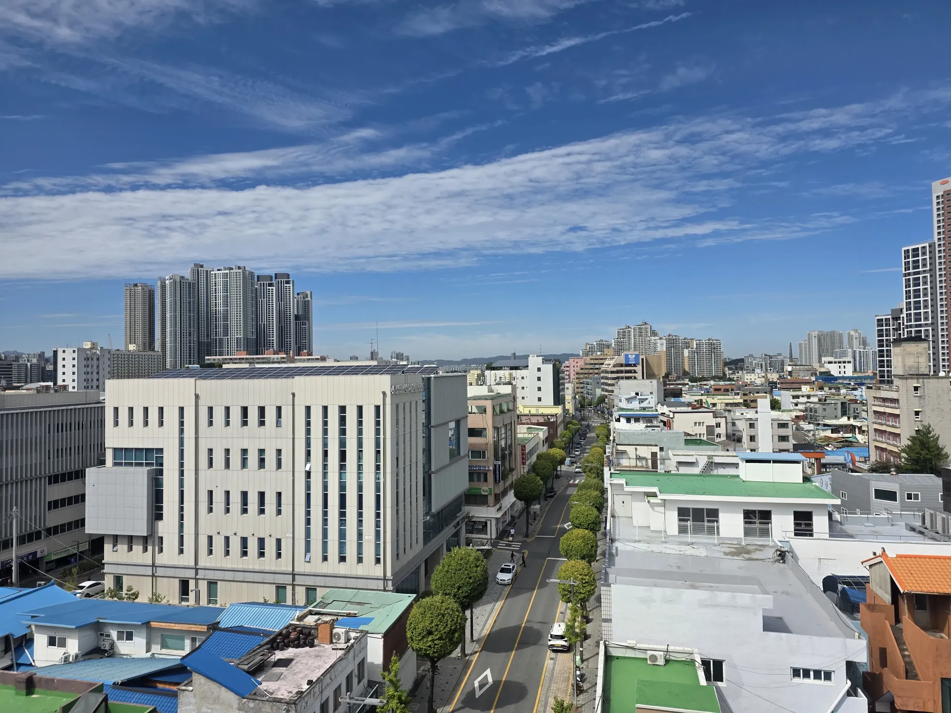 홍천 출장 와서 청양고추 하나 달랬는데 거절당함