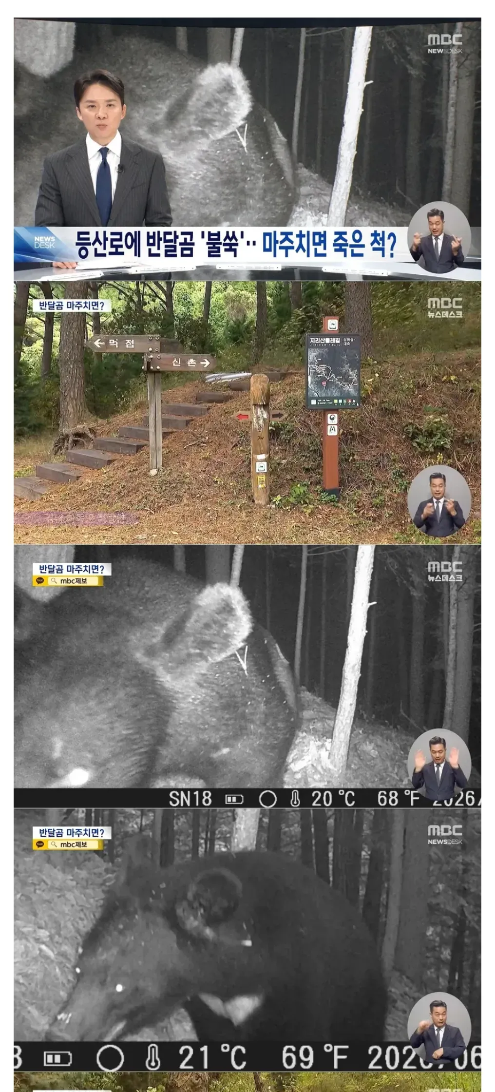 지리산 등산로에 반달곰 불쑥 94마리 ㄷㄷ