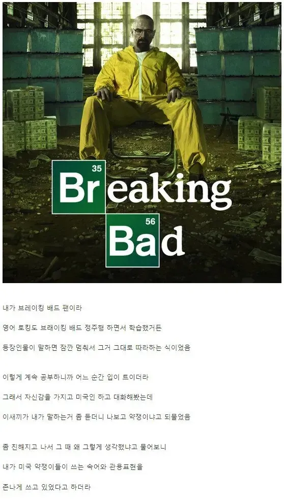 미드로 영어 공부하면 이렇게 됩니다