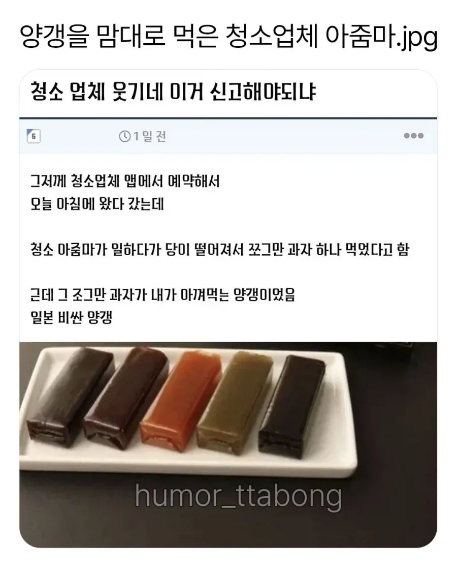 청소업체 아줌마가 아껴둔 일본 양갱을 드셨다