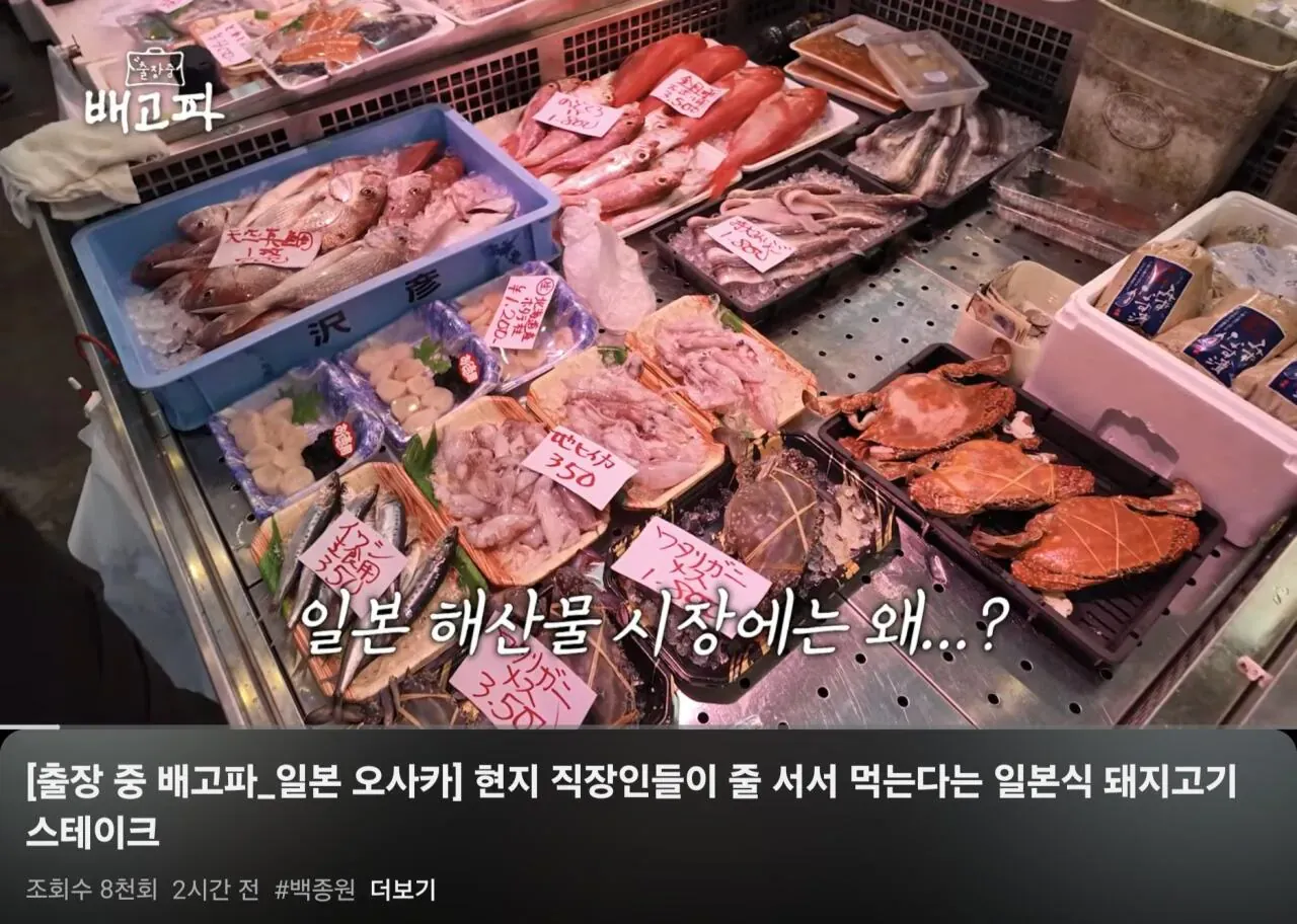 백종원 지역경제 활성화 하러 오사카 간 썰