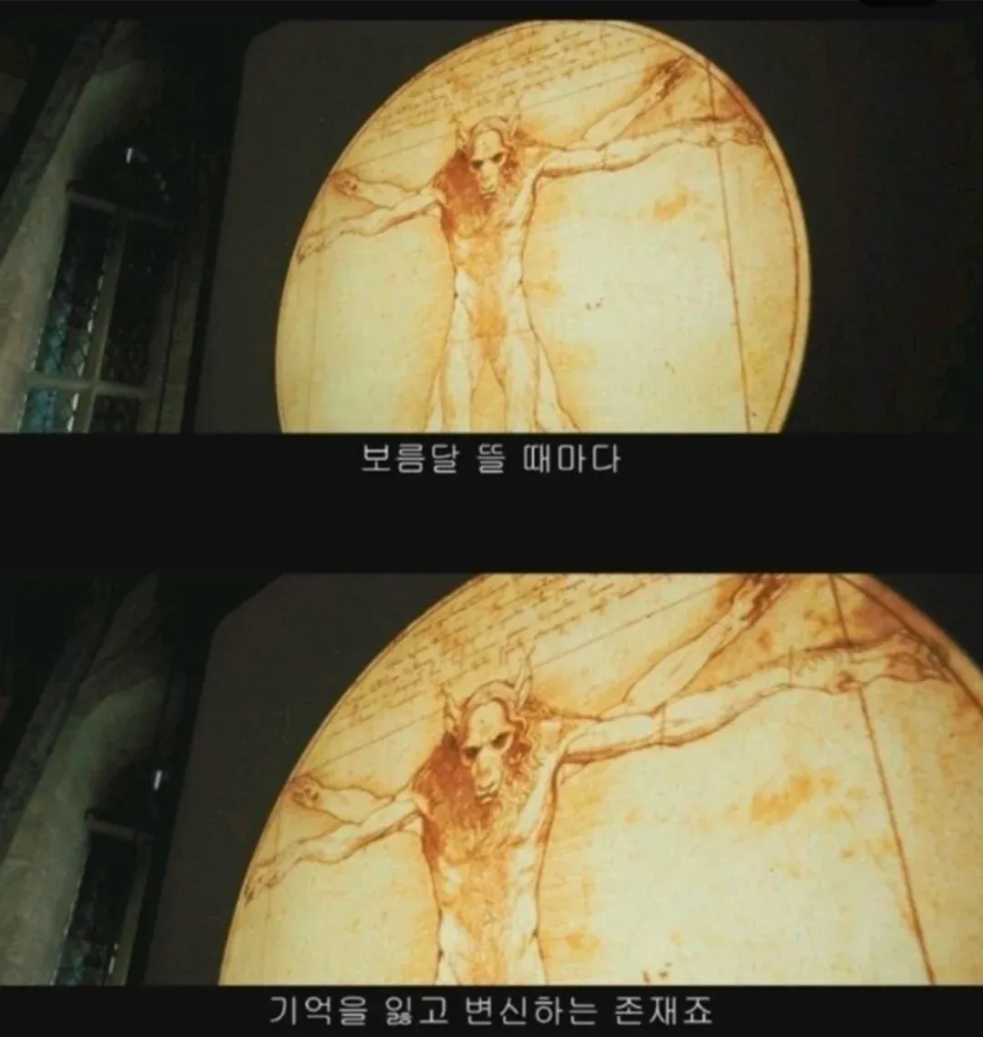 알고 보면 해리한테 다 알려줬던 스네이프 교수