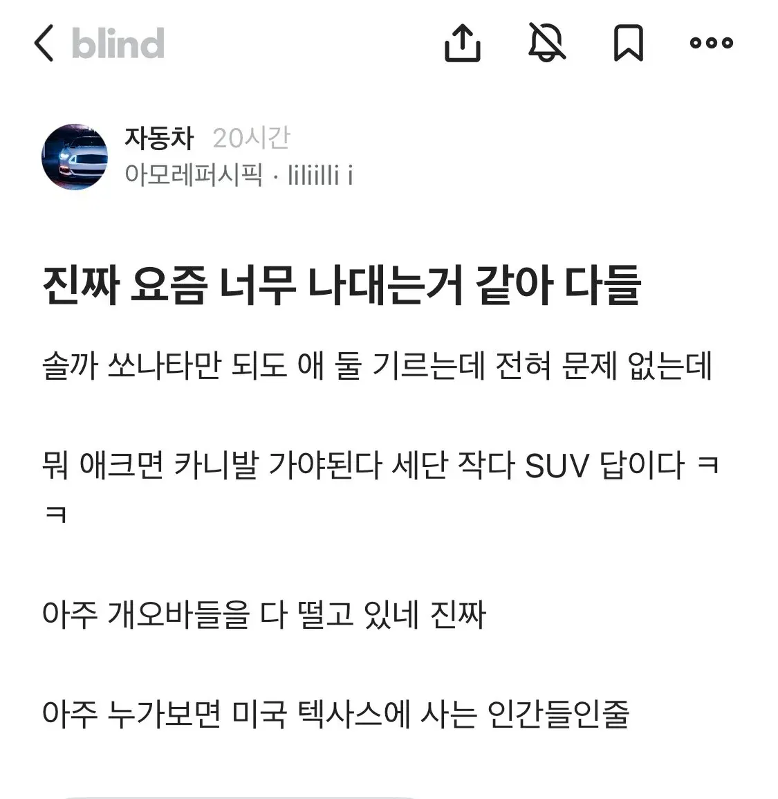 쏘나타로도 애 둘 키우는데 다들 나대네