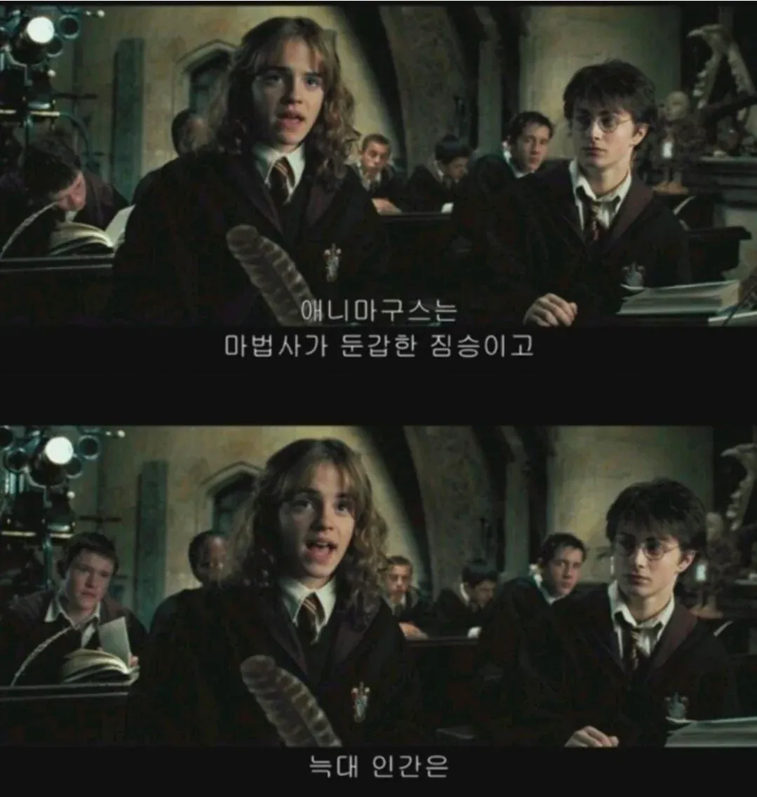 알고 보면 해리한테 다 알려줬던 스네이프 교수