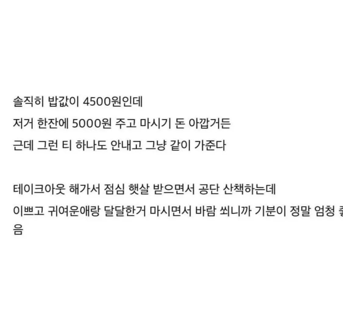 동기랑 점심 먹고 산책하는 낙으로 산다 ㅠㅠ
