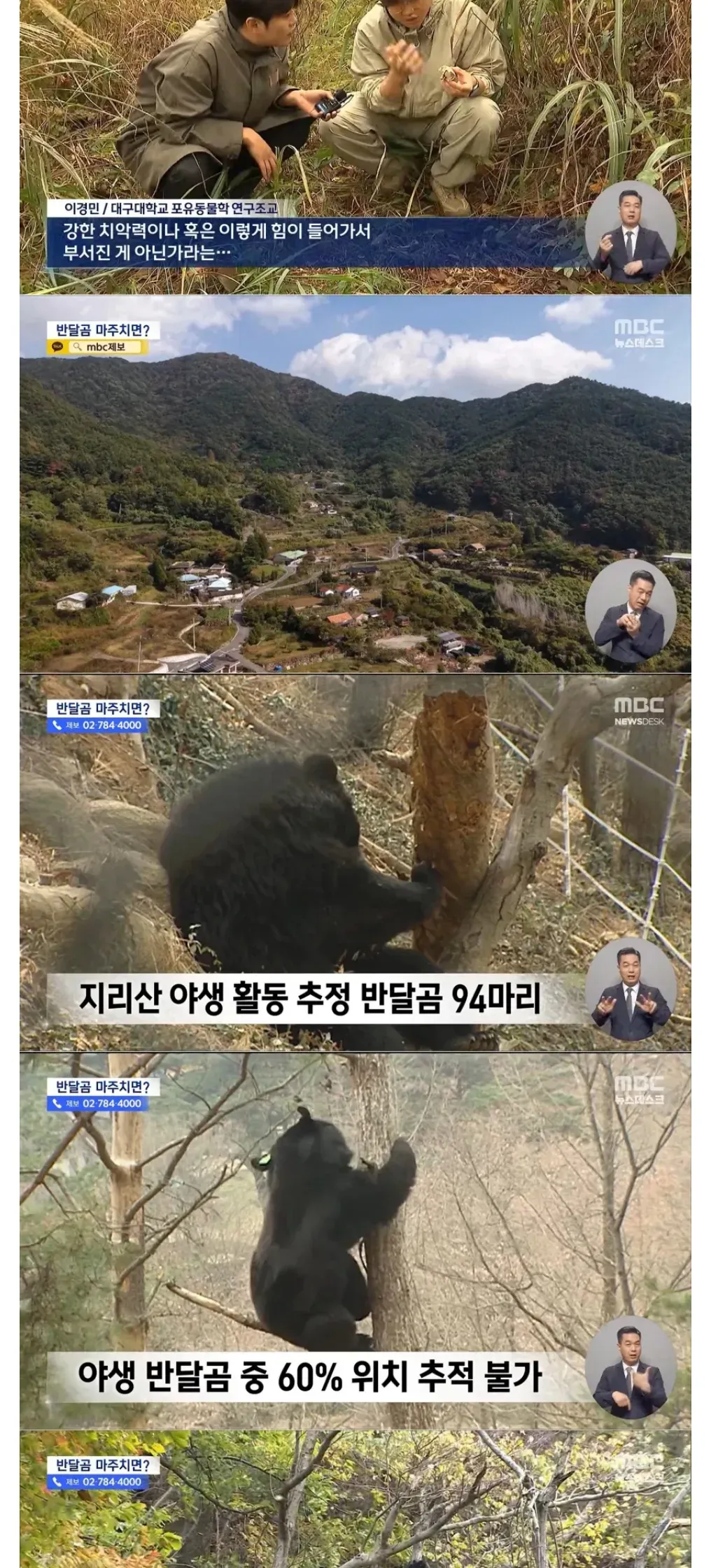 지리산 등산로에 반달곰 불쑥 94마리 ㄷㄷ