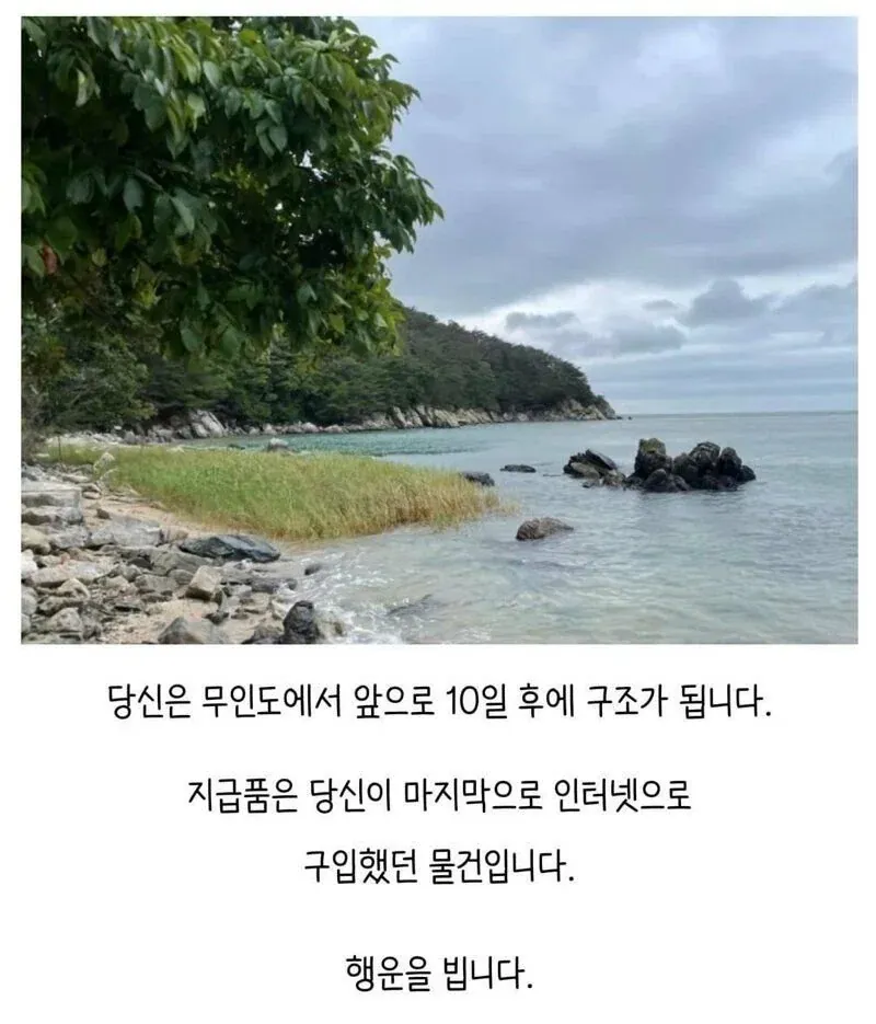 무인도 구조 10일 전, 지급품이 마지막 인터넷 구매품이래