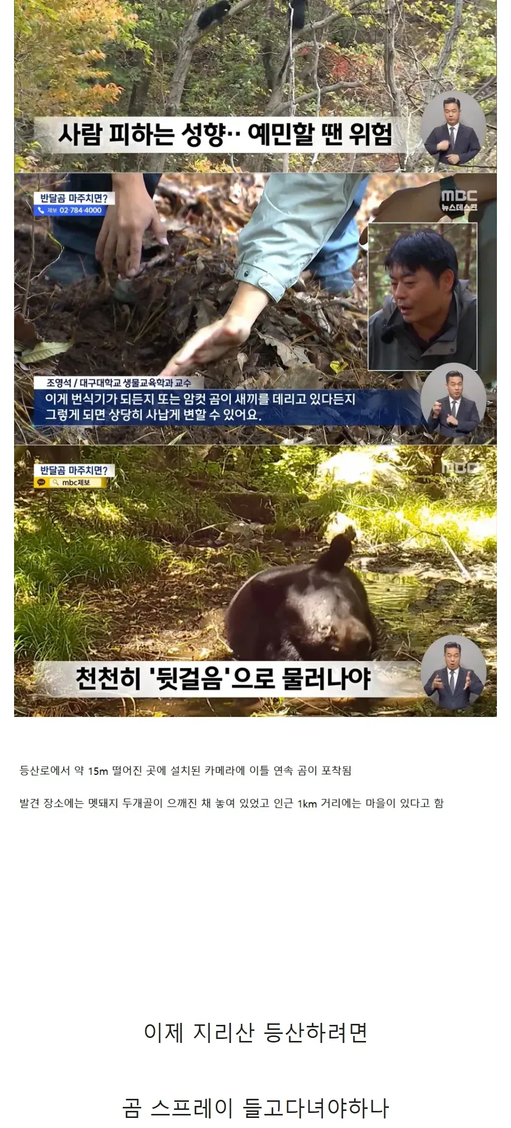 지리산 등산로에 반달곰 불쑥 94마리 ㄷㄷ