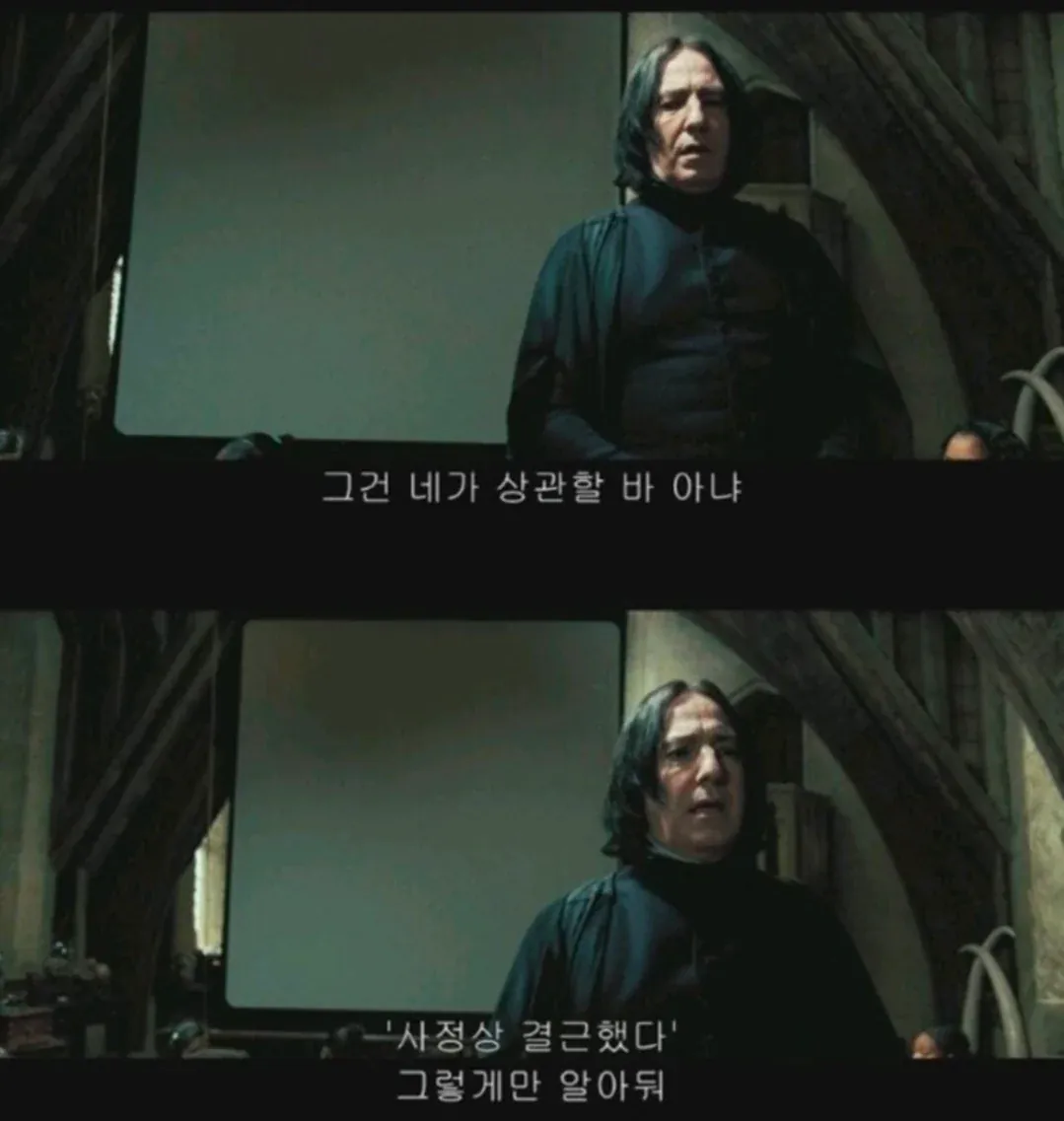 알고 보면 해리한테 다 알려줬던 스네이프 교수