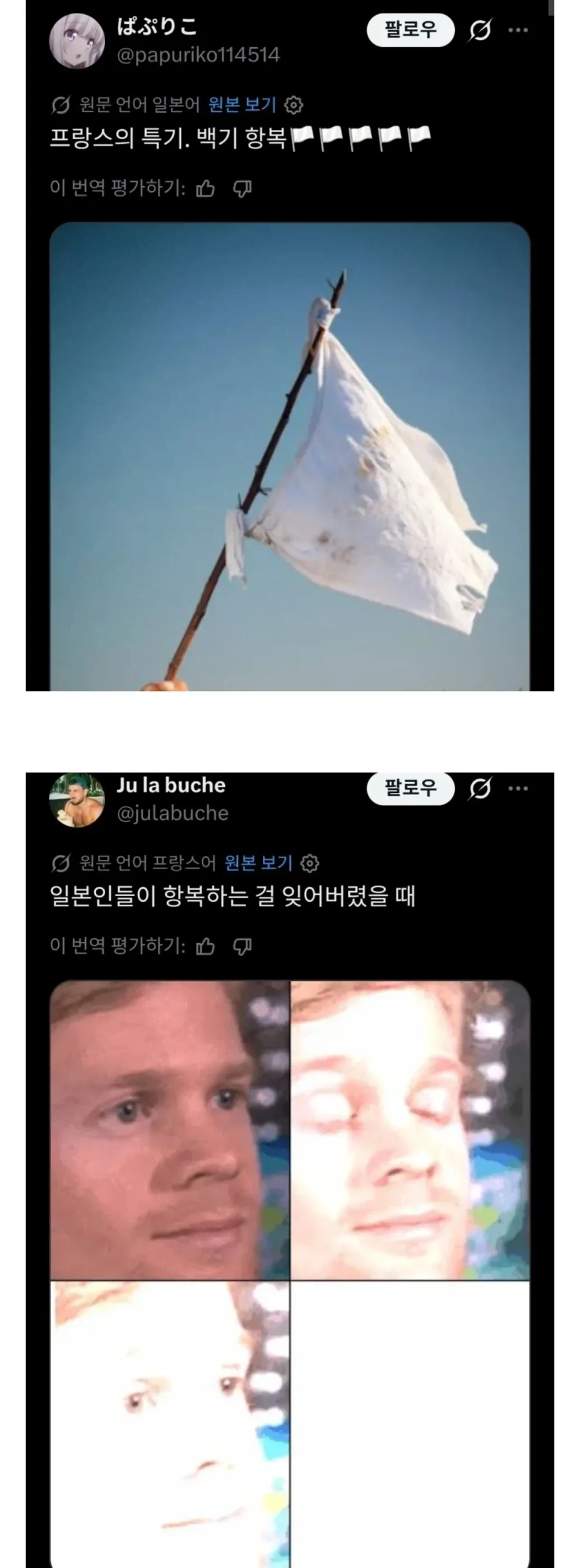 프랑스 특기 백기 항복에 일본 답글 수준.jpg